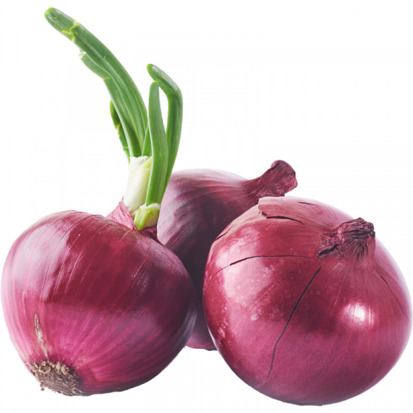 CIBUĽA ČERVENÁ BALENÁ 500g FRESH