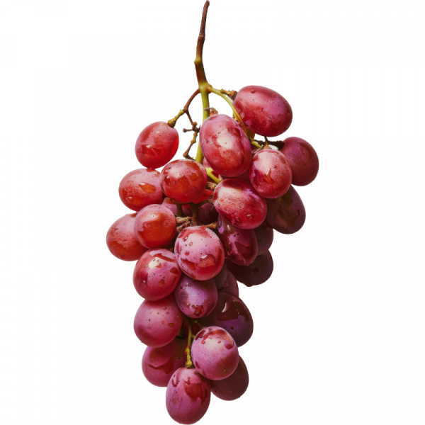 HROZNO TMAVÉ BEZKÔSTKOVÉ 500g