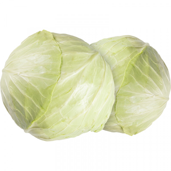 KAPUSTA HLÁVKOVÁ BIELA SKORÁ