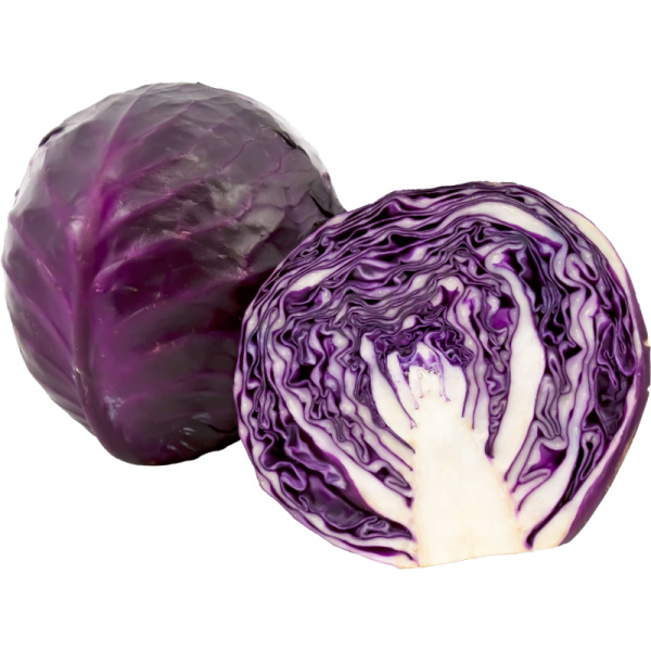 KAPUSTA HLÁVKOVÁ ČERVENÁ