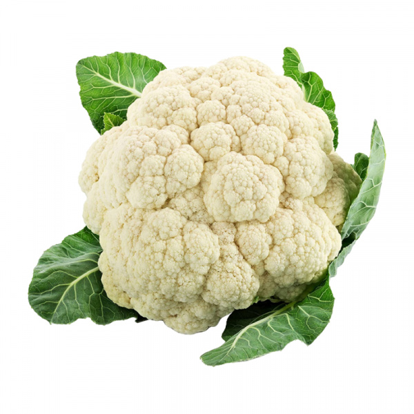 KARFIOL KS