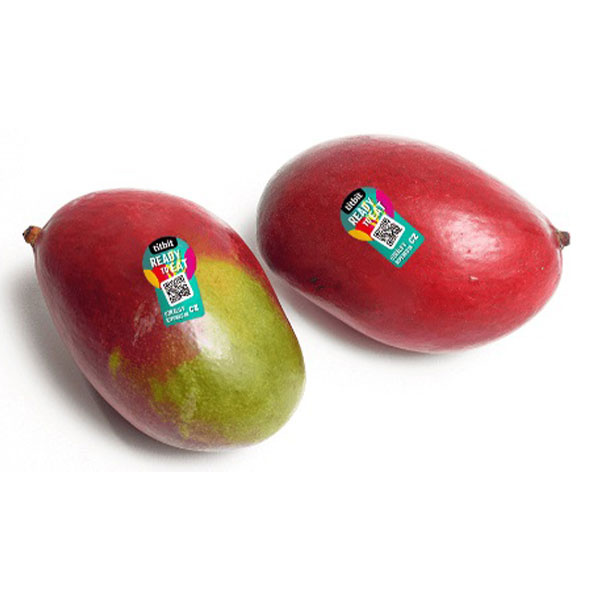 MANGO RTE KS