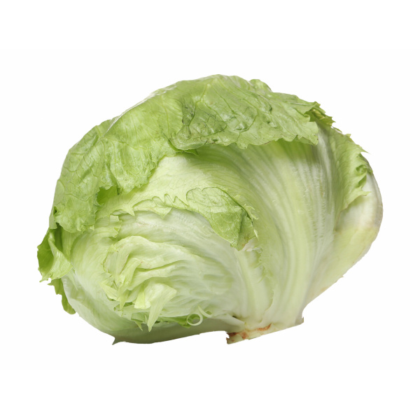ŠALÁT ĽADOVÝ 