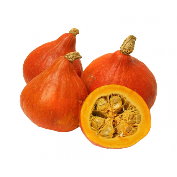 TEKVICA HOKAJDO /VÁHA/