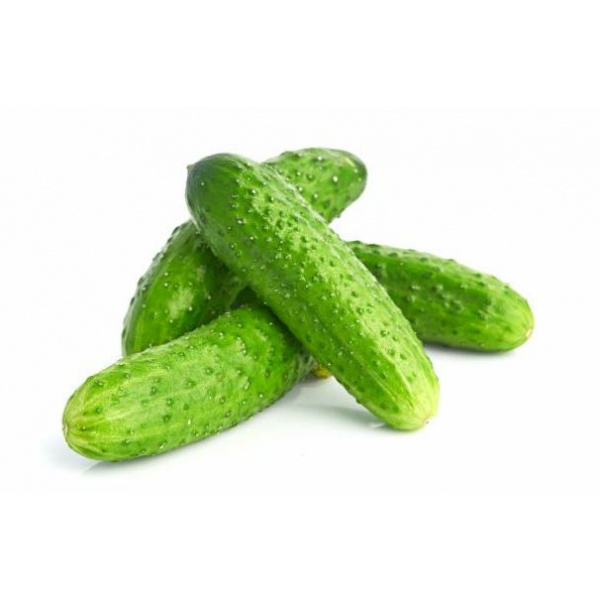 UHORKY NAKLADAČKY 