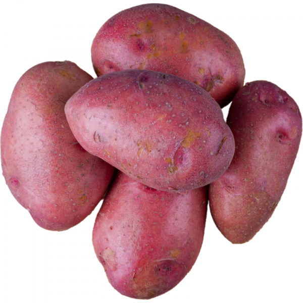 ZEMIAKY KONZUMNÉ ČERVENÉ 5kg
