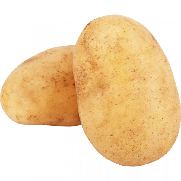 ZEMIAKY KRÁĽ. KONZ. ŠALÁTOVÉ 2kg 